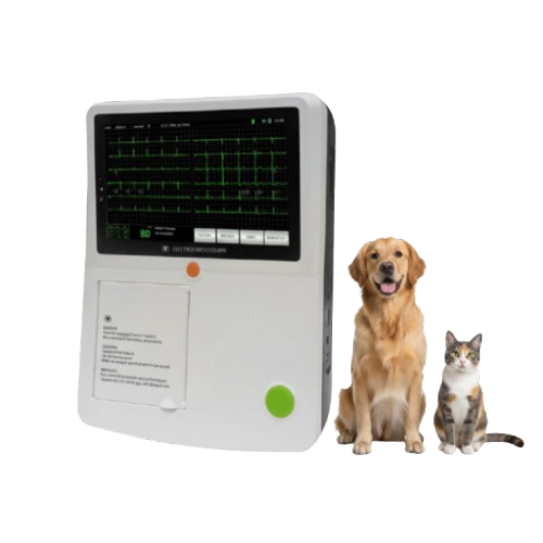Forermed YJ-ECGA3 Veterinary ECG Machine