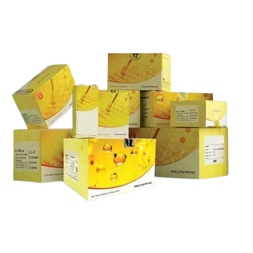 Agappe SGOT Semi-auto Biochemistry Reagents
