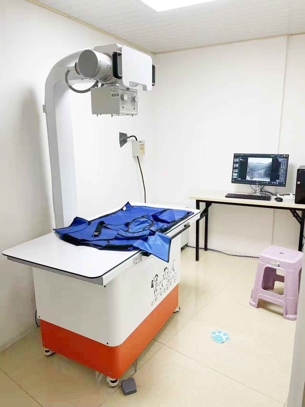 RUIGE RG-972 Veterinary Digital X-Ray Machine Best Price in Bangladesh