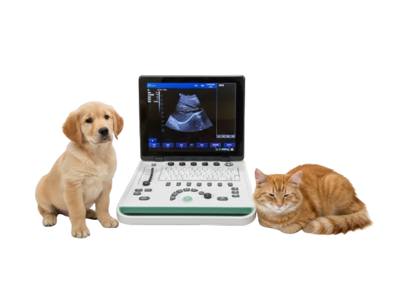 Sonostar SS-8C Ultrasound Scanner for Vet & Pet