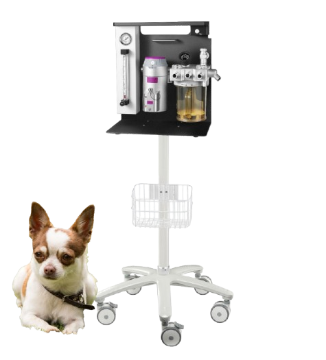 Derry VA2 Veterinary Anesthesia Machine