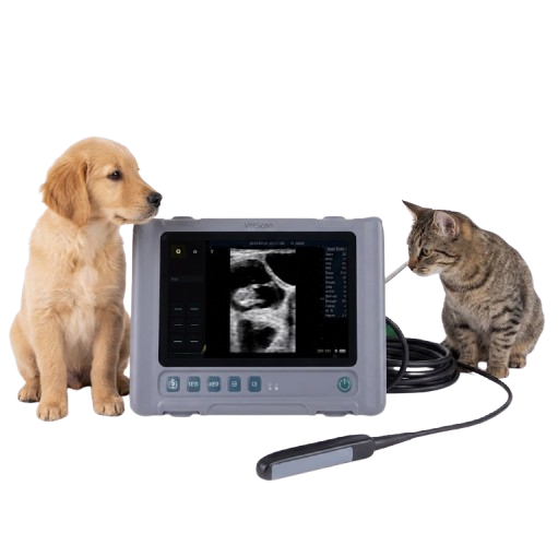 Waleeta WUB-W4 Veterinary Full Digital Ultrasound Diagnostic System