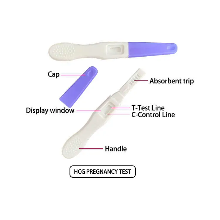 HCG-Pregnancy-Test-6.webp