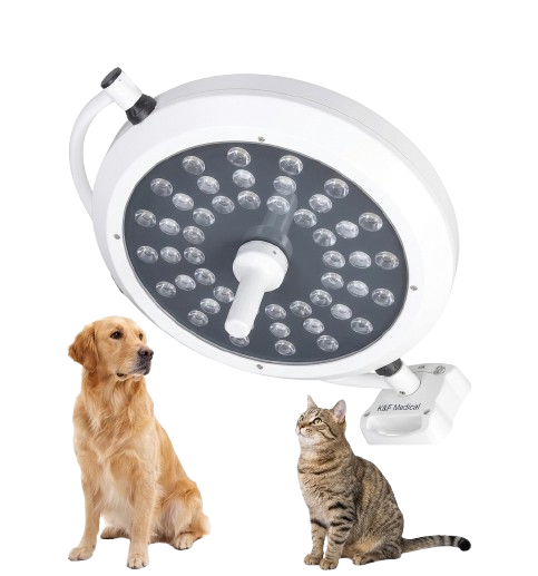 Sims Stand Light Prima-48R