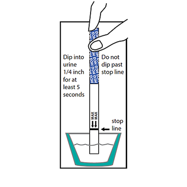 HCG Rapid Pregnancy Test Strip