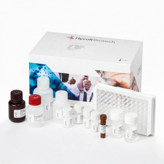 Bioindex T4 EIA Hormone Test Kit - 96 Test