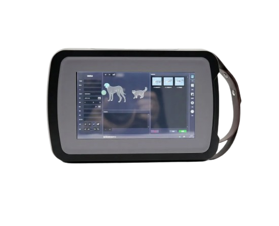 Forever YJ-BW9010 Handheld X-Ray Machine