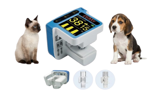 Derry Capno Easy Carbon Dioxide Monitor