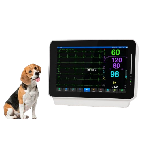 Derry VK10 Veterinary Patient Monitor