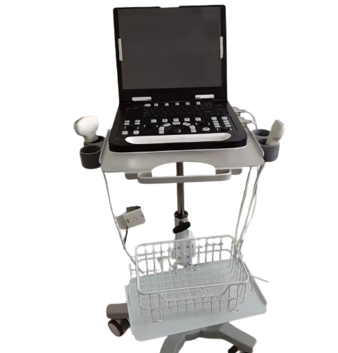 Gelt G-800 Veterinary Ultrasound Machine