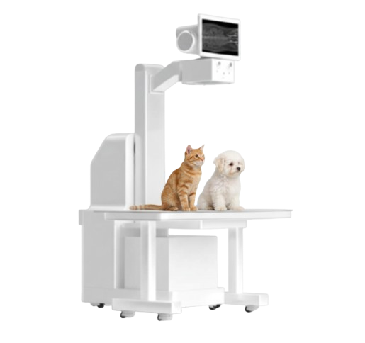 YSDRF-VET320E veterinary digital x-ray Machine