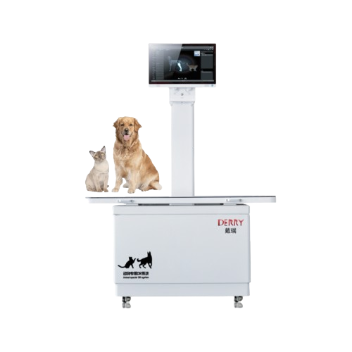 Derry X5 Professional veterinary DR imaging system