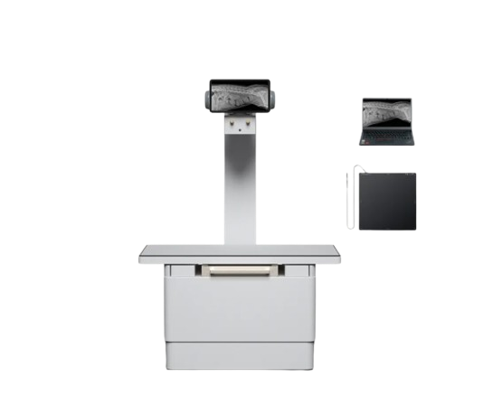 Digital Veterinary & Pet 32kW X-ray Machine YSDR-VET320 ECO