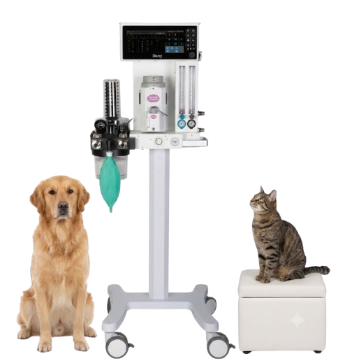 Derry VA5 Veterinary Anesthesia Workstation