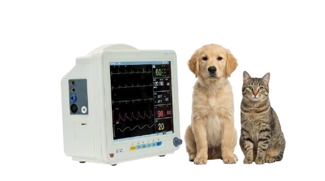 Y-Road YR-P12M 6-parameter Veterinary Monitor