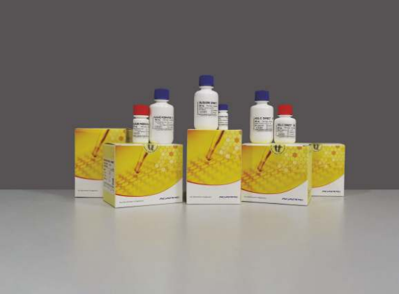 Agappe Triglyceride Biochemistry Reagent