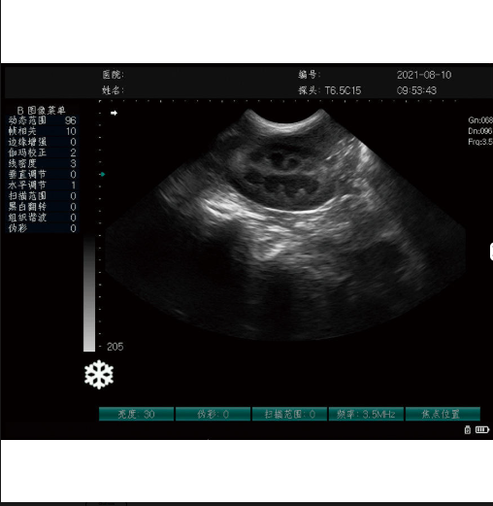 Gelt G-800 Veterinary Ultrasound Machine Best Price in Bangladesh