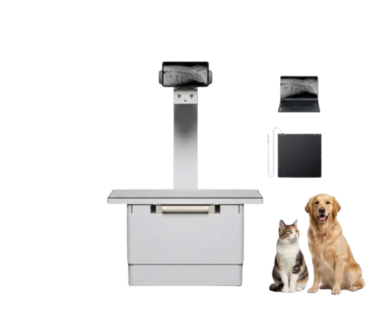 Digital Veterinary & Pet 32kW X-ray Machine YSDR-VET320 ECO