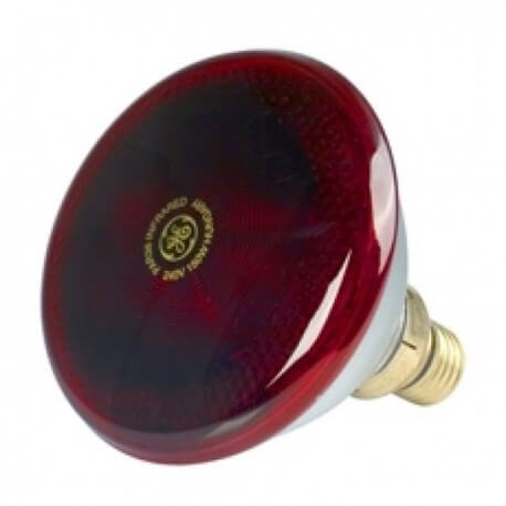 le-remplacement-de-l-ampoule-de-lumiere-infrarouge.jpg