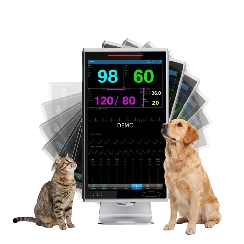 Derry VK18 Veterinary Patient Monitor