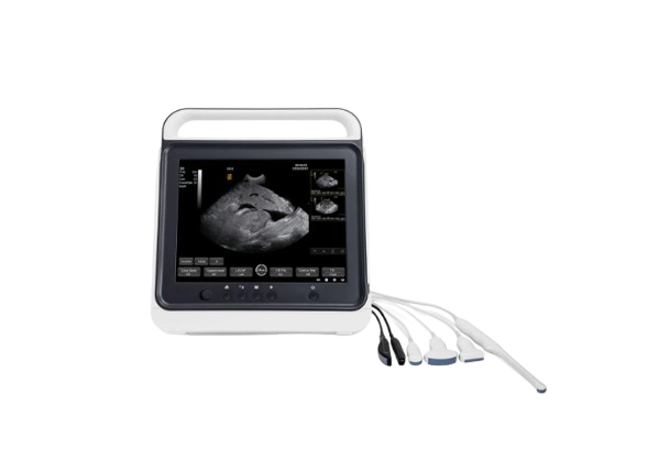 Waleeta WUB-P3 Veterinary Touch B/W Ultrasound System