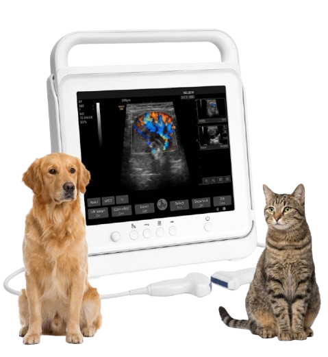 Waleeta WUC-P2 Veterinary Touch Color Doppler Ultrasound System