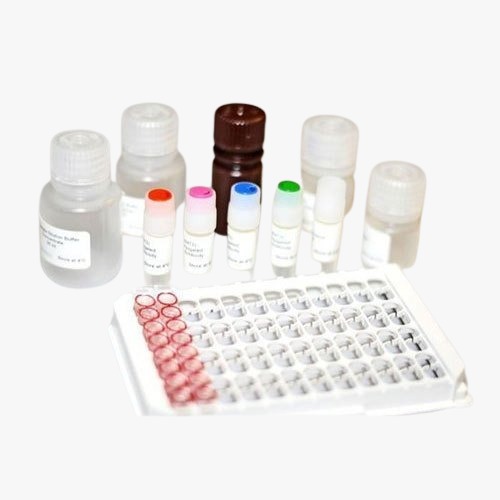 Measels IgM Reagent – Jaj International