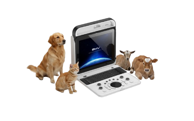 BMV BPU50C Vet Color Doppler System