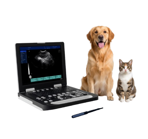 Gelt G-800 Veterinary Ultrasound Machine