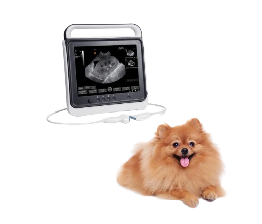 Waleeta WUB-P3 Veterinary Touch B/W Ultrasound System
