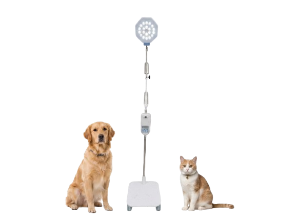 Sims Stand Light Prima-21M