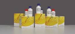 Agappe Biochemistry Reagents.