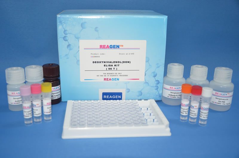 Bioindex T4 EIA Hormone Test Kit - 96 Test