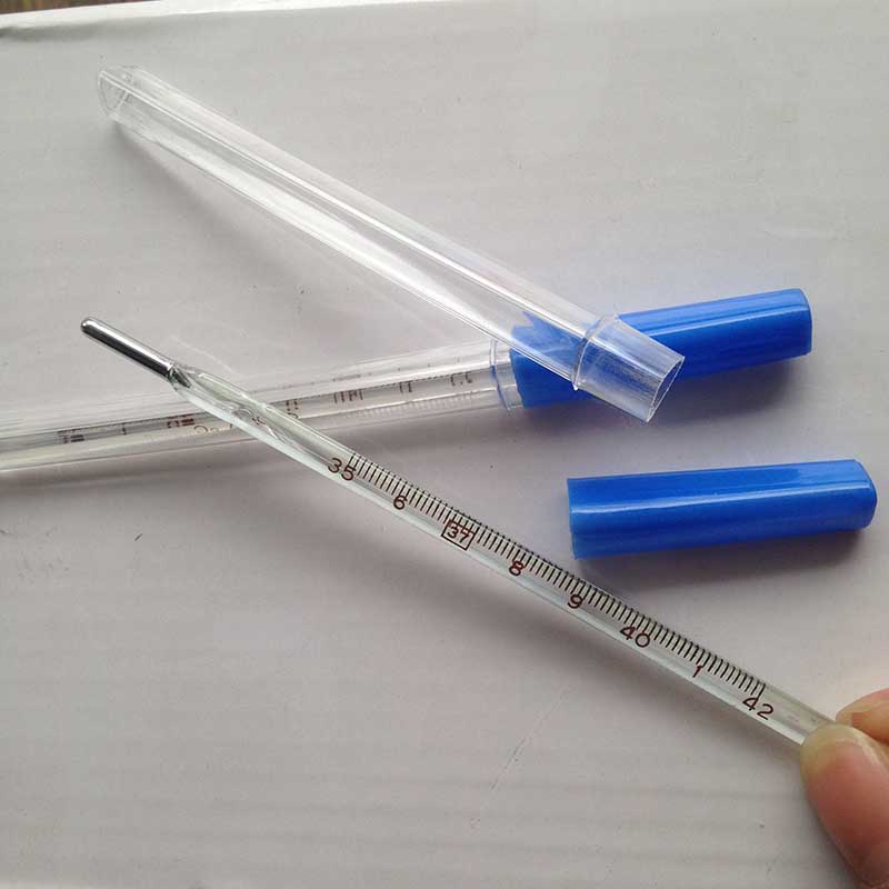 Clinical Classic Glass Thermometer in bangladesh | Medistore BD