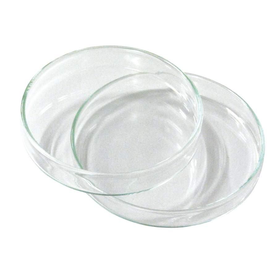 glass petri dish