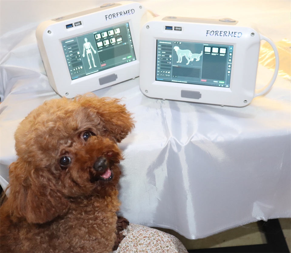 Veterinary X Ray Machine price in Bangladesh