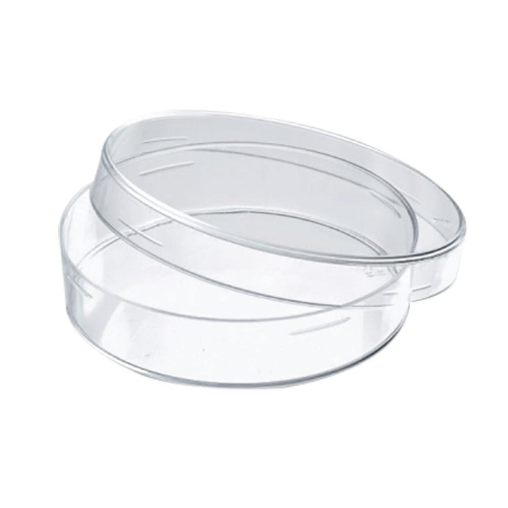 glass petri dish