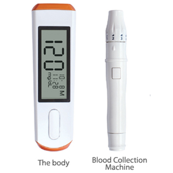 GLuKeeper Blood Glucose Monitoring System