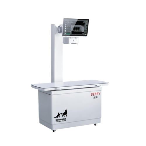 Derry X5 Professional veterinary DR imaging system