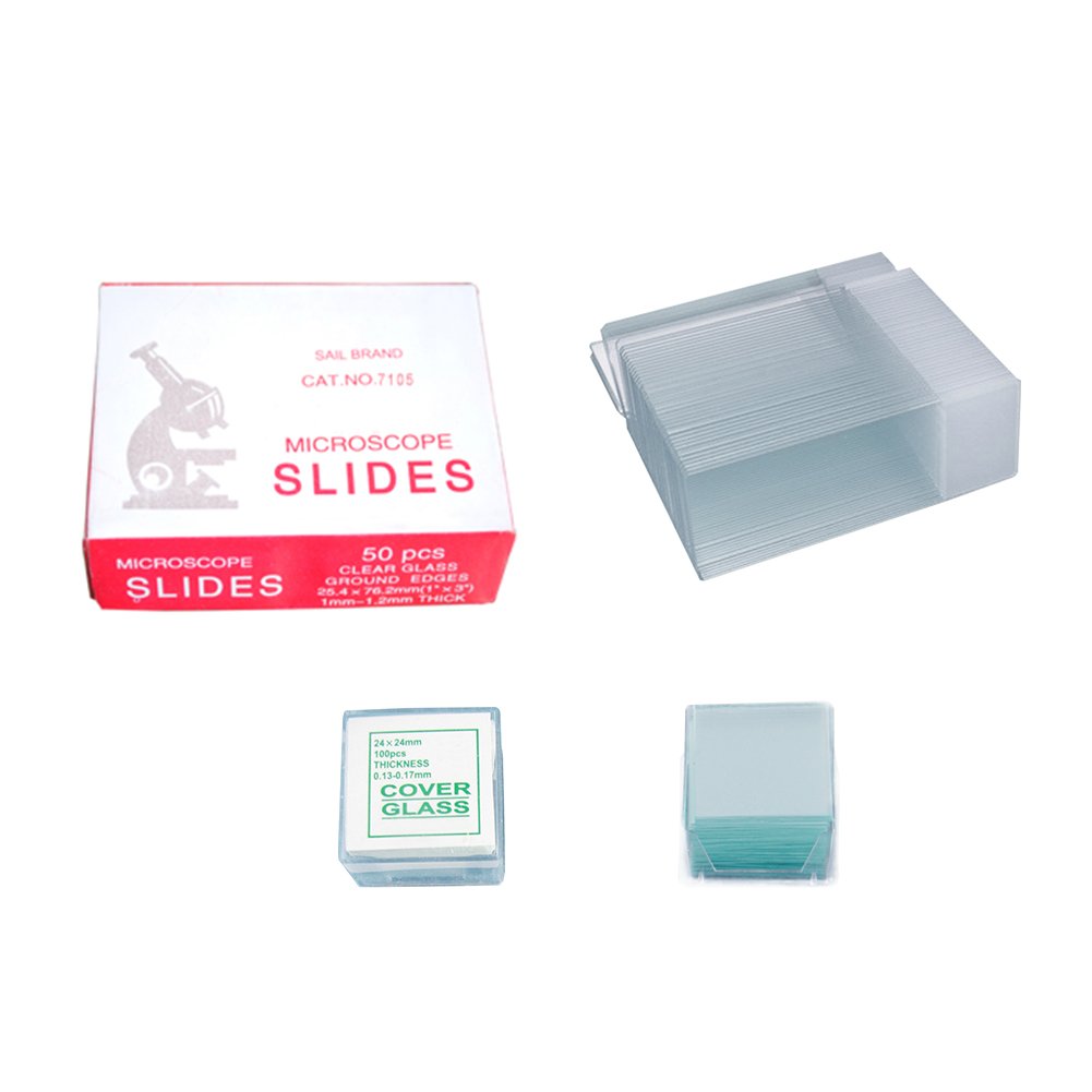 Plain Microscope Glass Slide for Laboratory - 72pcs box