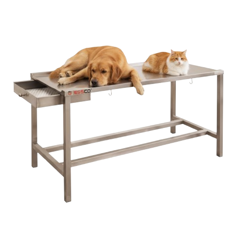 Veterinary Hospital Examination Table