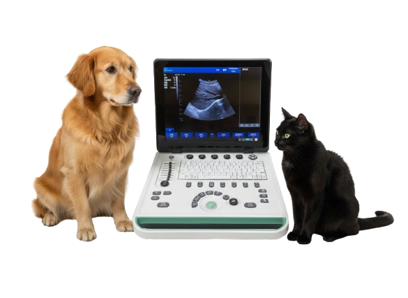 Sonostar SS-8C Ultrasound Scannner for Vet & Pet