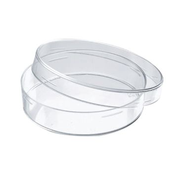Transparent Glass Petri Dish - Small size