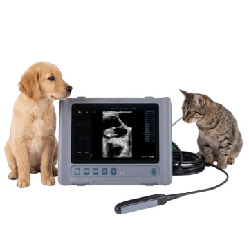 Waleeta WUB-W4 Veterinary Full Digital Ultrasound Diagnostic System