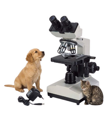 YSENMED YSXWJ107BN Veterinary Binocular Microscope