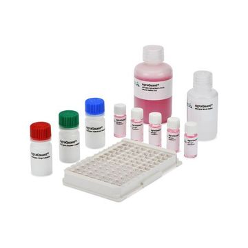 Econ TSH ELISA Test Kit – Accurate Thyroid Function Testing