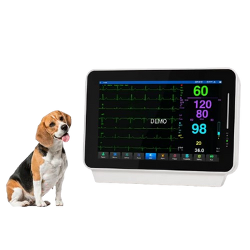 Derry VK10 Veterinary Patient Monitor