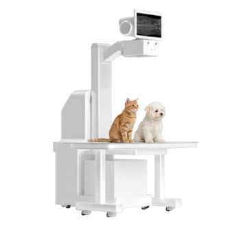 YSDRF-VET320E veterinary digital x-ray Machine