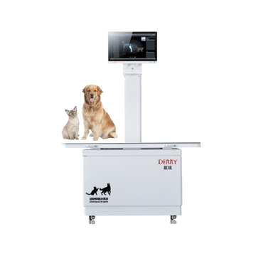 Derry X5 Professional veterinary DR imaging system