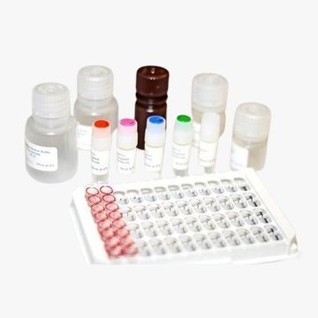 HBsAg Reagent - Jaj international